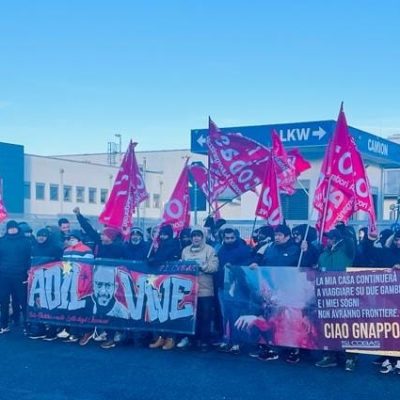 lidl novara biandrate adil