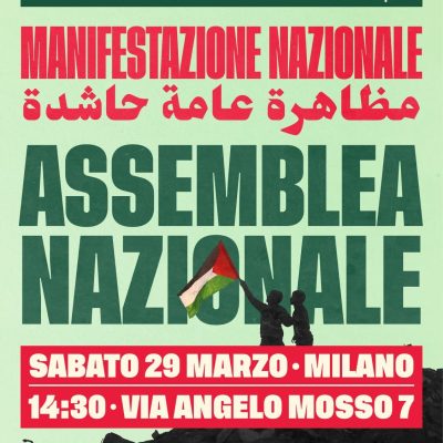 manifesto per il 29 palestina
