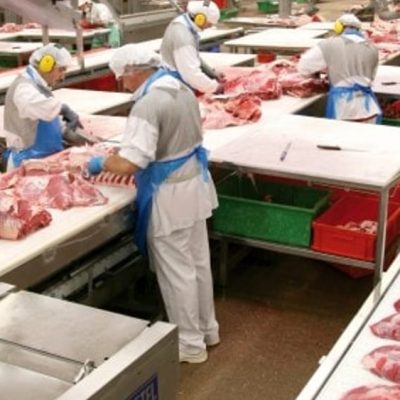 settore carni salute rete nazionale lavoro sicuro